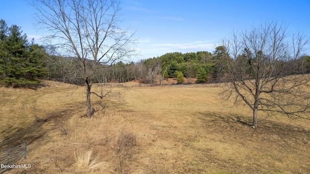 13191 Rte 22, Stop Canaan, NY 12029