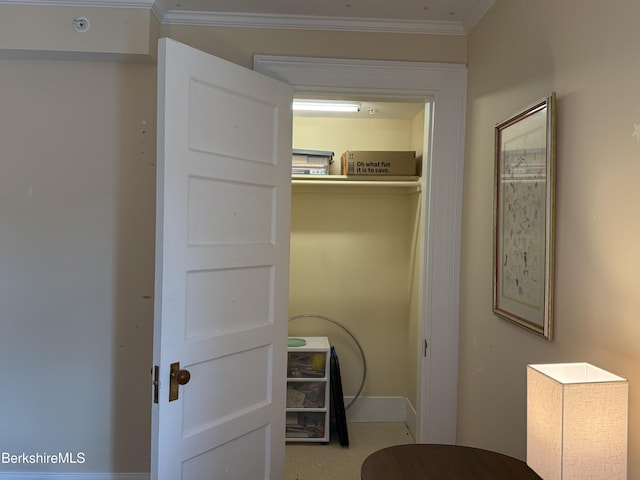 33 Maplewood Ave Unit 305, Pittsfield, MA 01201 - photo 11