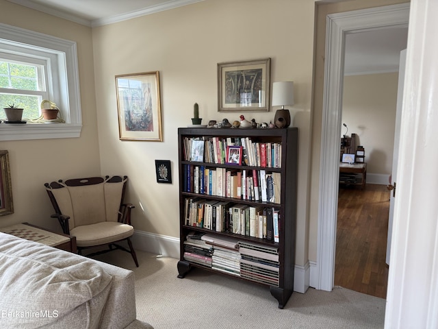 33 Maplewood Ave Unit 305, Pittsfield, MA 01201 - photo 6