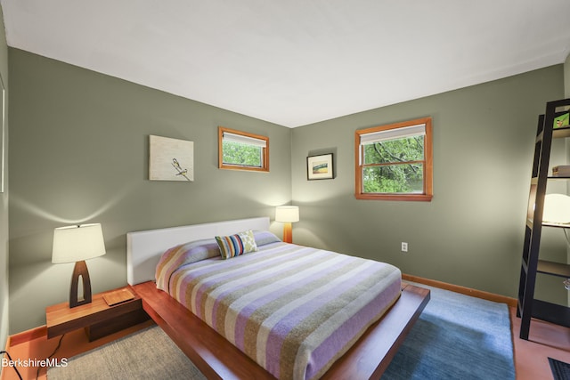 72 Cleveland St, Pittsfield, MA 01201 - bedroom with multiple windows and carpet flooring