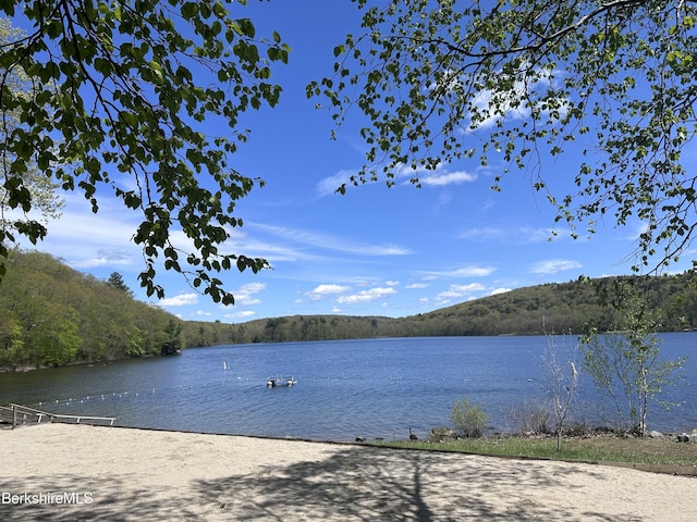 289 Antelope Dr, Lee, MA 01238