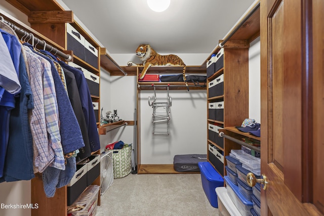 67 Dunmore Ct, Lenox, MA 01240 - walk in closet featuring carpet