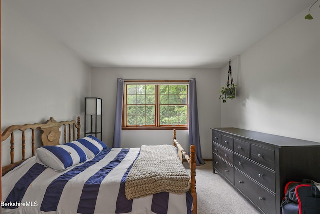 67 Dunmore Ct, Lenox, MA 01240 - bedroom with light carpet