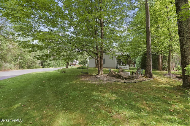 67 Dunmore Ct, Lenox, MA 01240 - view of green lawn
