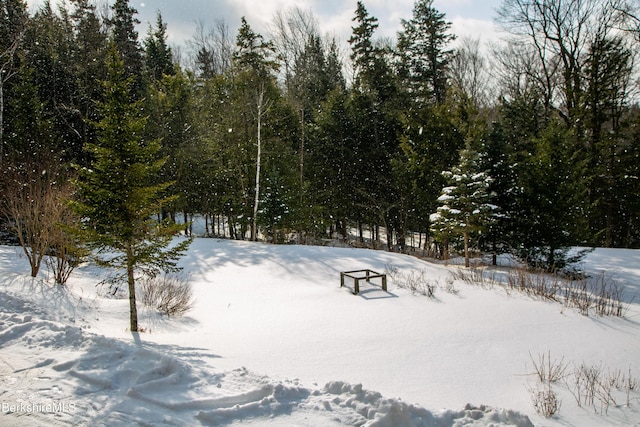 view of yard covered in snow