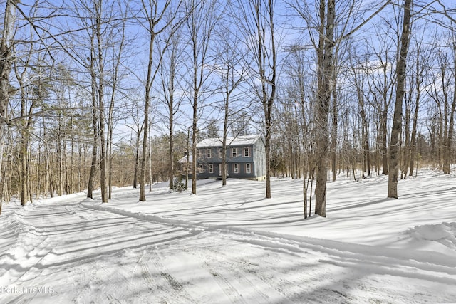 view of snowy yard