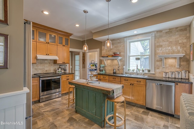 kitchen featuring stainless steel appliances, under cabinet range hood, a sink, tasteful backsplash, and recessed lighting