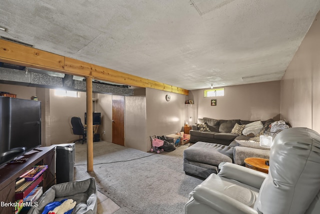 74 E Windsor Rd, Peru, MA 01235 - photo 19