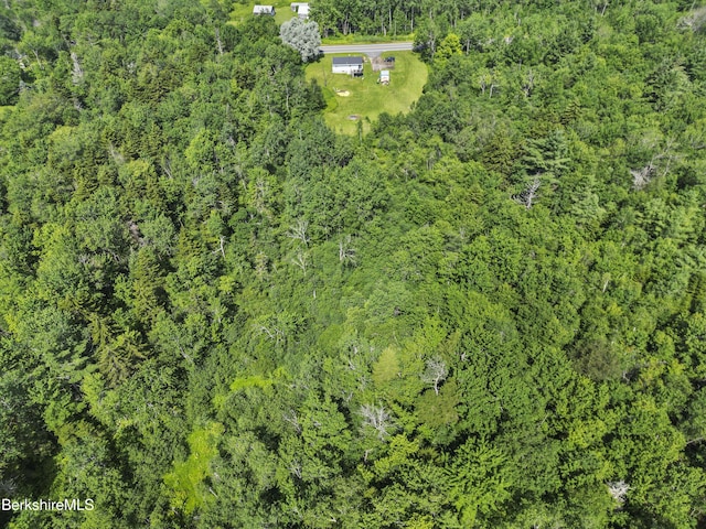 74 E Windsor Rd, Peru, MA 01235 - photo 10