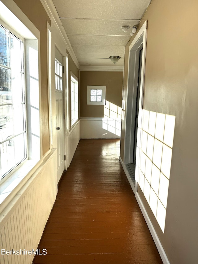 hallway with ornamental molding and dark wood-type flooring