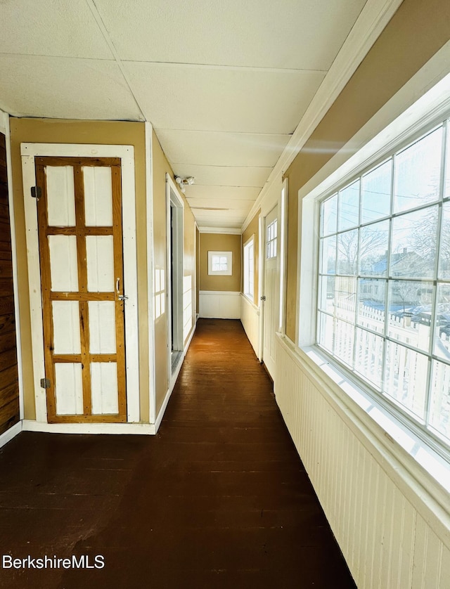 hallway with crown molding and dark wood-type flooring