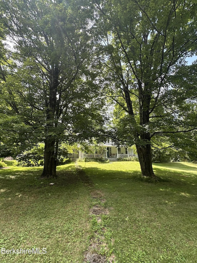 53 Whitings Pond Rd, Canaan, NY 12029 - photo 4