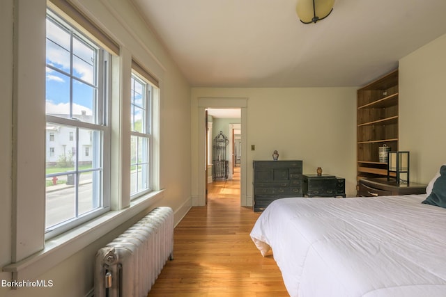 12 Riverfront St, Chester, MA 01011 - bedroom featuring radiator and light wood-style flooring