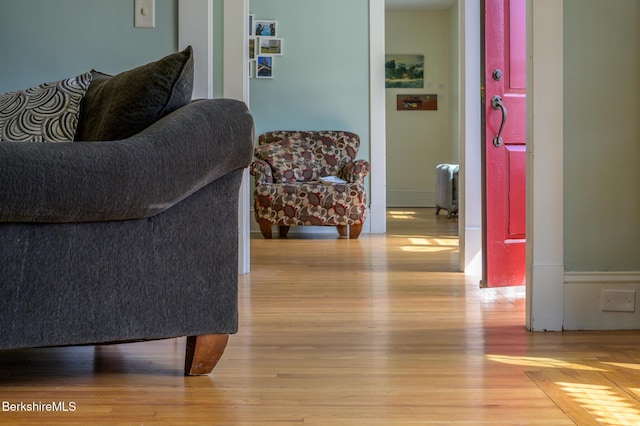12 Riverfront St, Chester, MA 01011 - corridor with radiator and wood finished floors