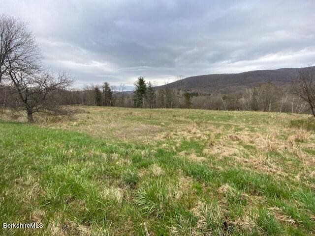0 Hancock Rd, Williamstown, MA 01267 - photo 4