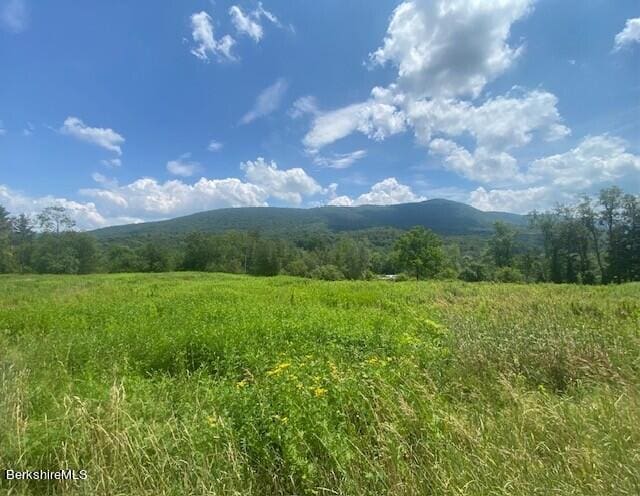 0 Hancock Rd, Williamstown, MA 01267 - photo 6