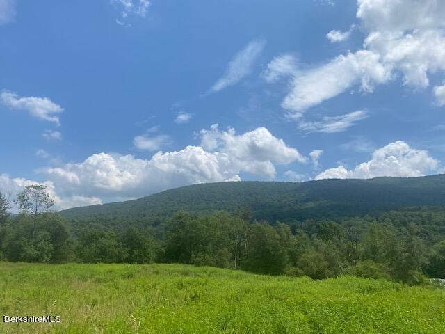 0 Hancock Rd, Williamstown, MA 01267 - photo 1