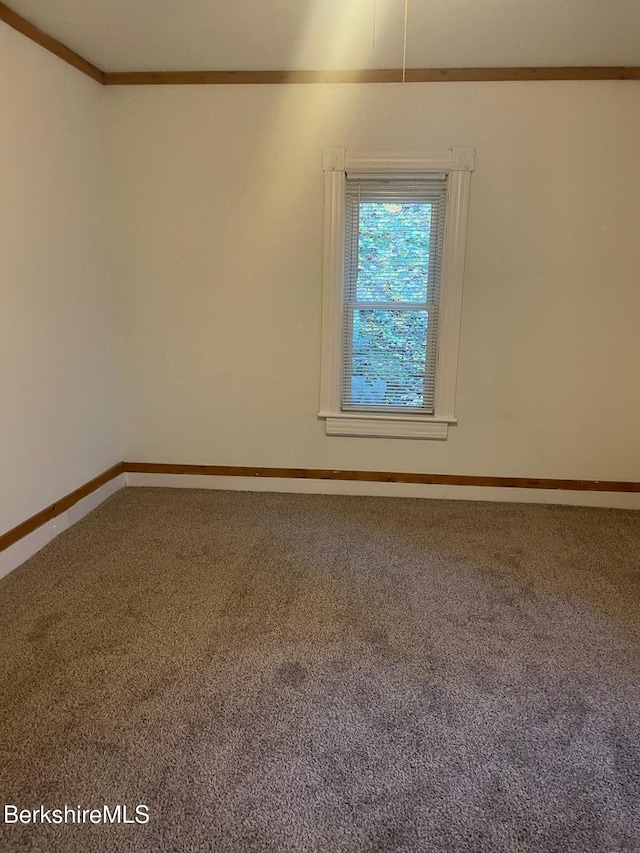 spare room featuring carpet