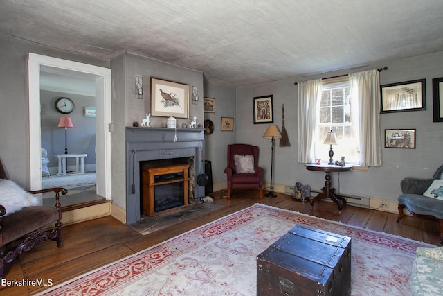 living room featuring wood-type flooring