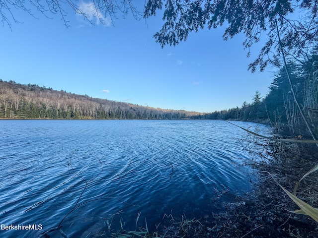 Listing photo 3 for LOT12 Bancroft Rd, Becket MA 01223