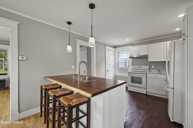 56 Perrine Ave, Pittsfield, MA 01201 - kitchen with white appliances, under cabinet range hood, dark wood finished floors, crown molding, and wooden counters