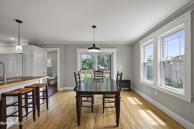 56 Perrine Ave, Pittsfield, MA 01201 - dining area with plenty of natural light, radiator, light wood-style flooring, and ornamental molding