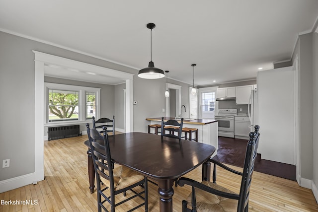 56 Perrine Ave, Pittsfield, MA 01201 - dining space with radiator, healthy amount of natural light, ornamental molding, and light wood-style flooring