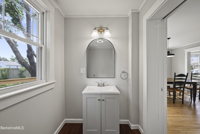 56 Perrine Ave, Pittsfield, MA 01201 - bathroom with vanity, wood finished floors, and crown molding