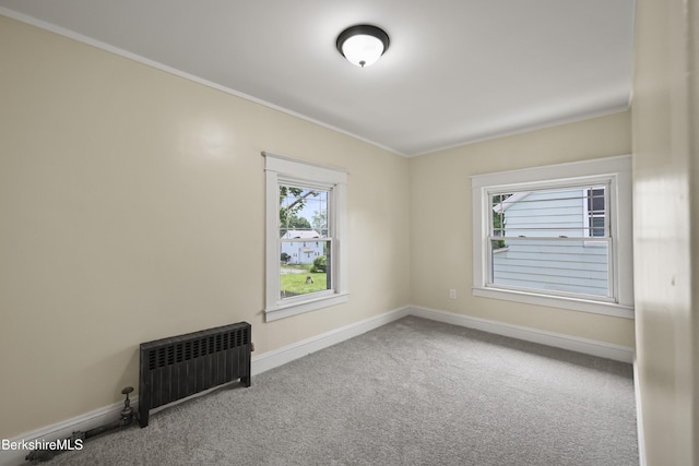 56 Perrine Ave, Pittsfield, MA 01201 - carpeted empty room with radiator heating unit and crown molding