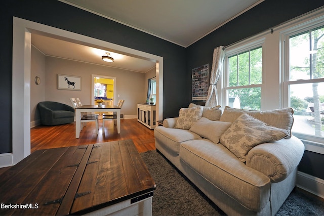 88 Newell St, Pittsfield, MA 01201 - living room featuring crown molding and wood finished floors