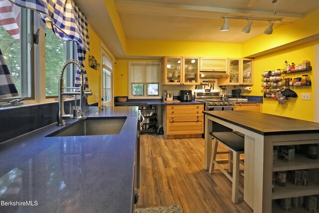 88 Newell St, Pittsfield, MA 01201 - kitchen with under cabinet range hood, dark countertops, wood finished floors, track lighting, and stainless steel gas stove