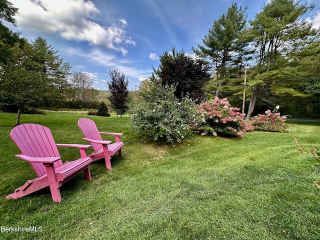 118 Old Shaker Rd, New Lebanon, NY 12125 - photo 51