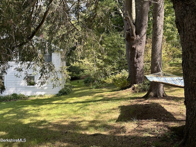 118 Old Shaker Rd, New Lebanon, NY 12125 - photo 6
