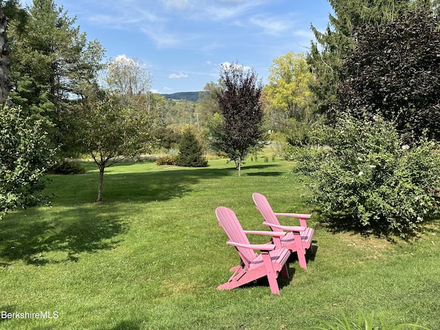 118 Old Shaker Rd, New Lebanon, NY 12125 - photo 60