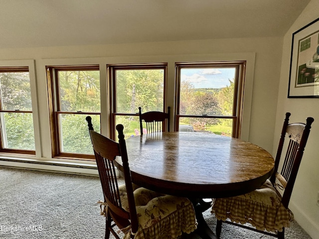 118 Old Shaker Rd, New Lebanon, NY 12125 - photo 46