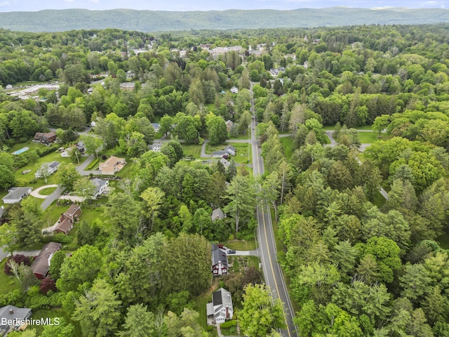 80 W St, Lenox, MA 01240 - photo 36