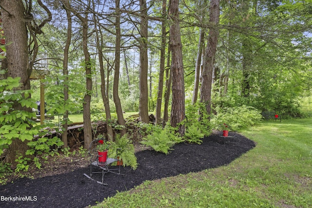 80 W St, Lenox, MA 01240 - photo 34