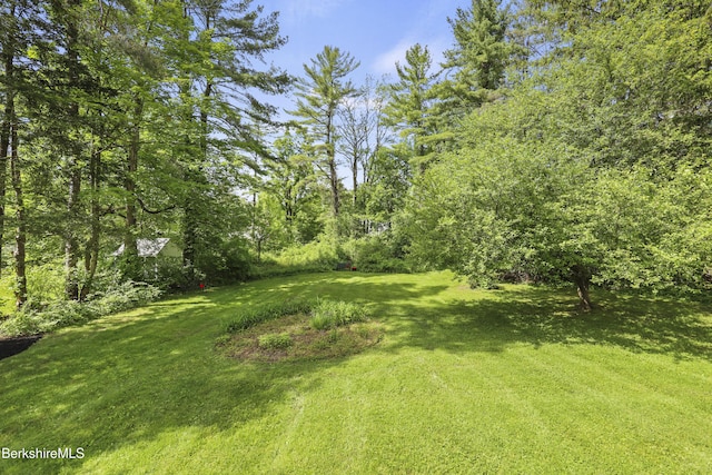 80 W St, Lenox, MA 01240 - photo 32