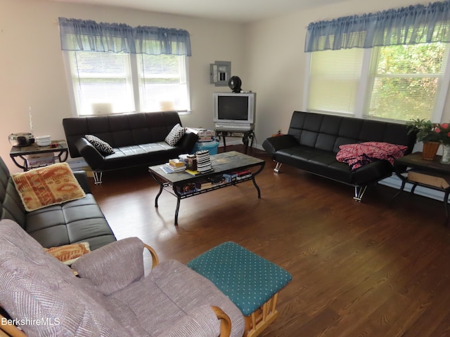 living room featuring wood-type flooring