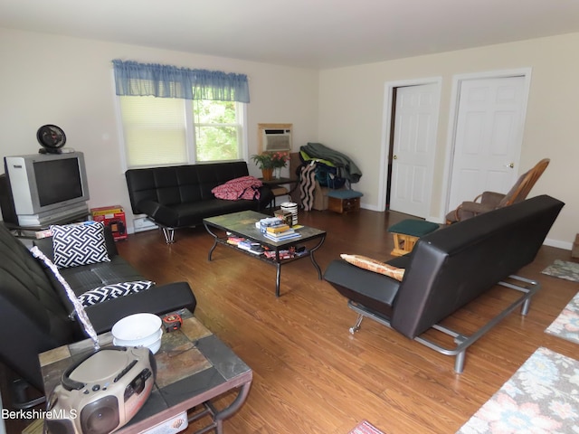 living room with wood-type flooring