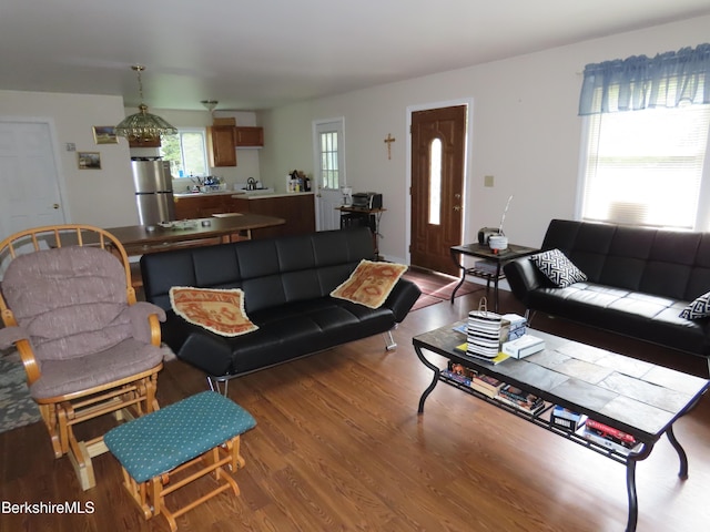 living room featuring hardwood / wood-style floors and sink