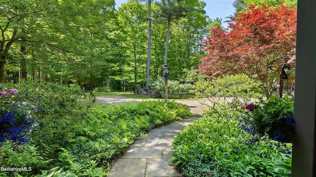 173 Hillsdale Rd, Egremont, MA 01258 - view of community with a forest view