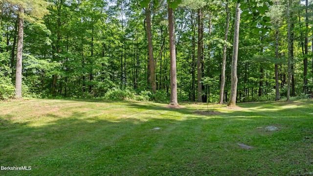 173 Hillsdale Rd, Egremont, MA 01258 - view of grassy yard with a wooded view