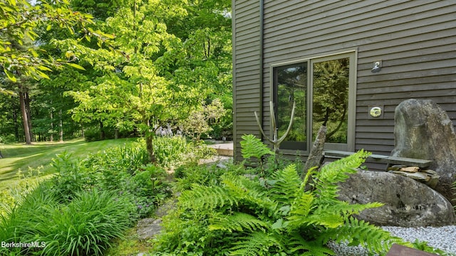 173 Hillsdale Rd, Egremont, MA 01258 - view of yard