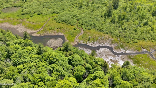 173 Hillsdale Rd, Egremont, MA 01258 - aerial view of property's location with a forest