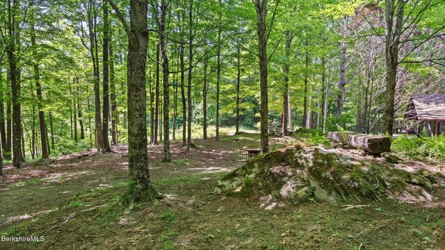173 Hillsdale Rd, Egremont, MA 01258 - view of wooded area