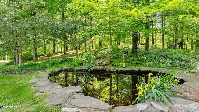 173 Hillsdale Rd, Egremont, MA 01258 - view of yard