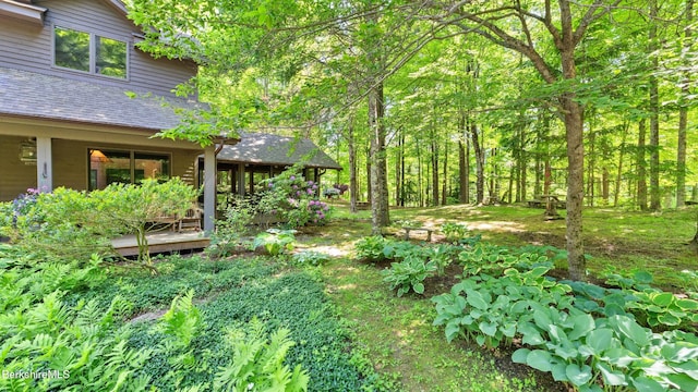 173 Hillsdale Rd, Egremont, MA 01258 - view of yard