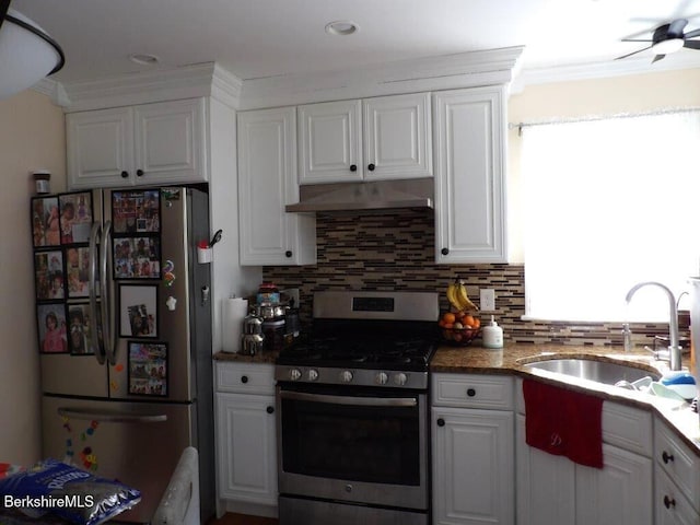 kitchen featuring appliances with stainless steel finishes, decorative backsplash, a sink, and under cabinet range hood