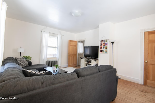 living room with radiator heating unit and light hardwood / wood-style floors